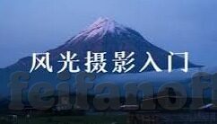 波兰对日本足球比分-波兰与日本足球交锋，比分背后的战术博弈与历史回响