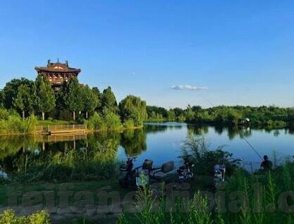 厄瓜多尔足球实时比分-厄瓜多尔足球实时比分，激情与荣耀的数字交响曲
