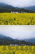 雪缘园足球比分即时比分-雪缘园足球比分即时比分，球迷的掌中宝，赛场的实时脉搏