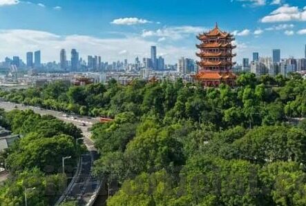 昨日足球完场比分-昨夜绿茵烽火，一场场比分背后的激情与悬念