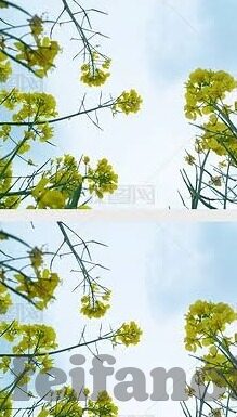 足球八波比分直播-足球八波比分直播，实时追踪绿茵场上的每一刻激情