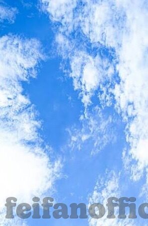 足球比分 500度体育-500度体育，足球比分背后的数据革命与球迷狂欢