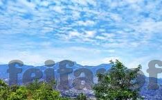 足球比分网分-探秘足球比分网分，数据背后的竞技风云与球迷狂欢